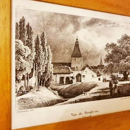 A La Fontaine Bergheim